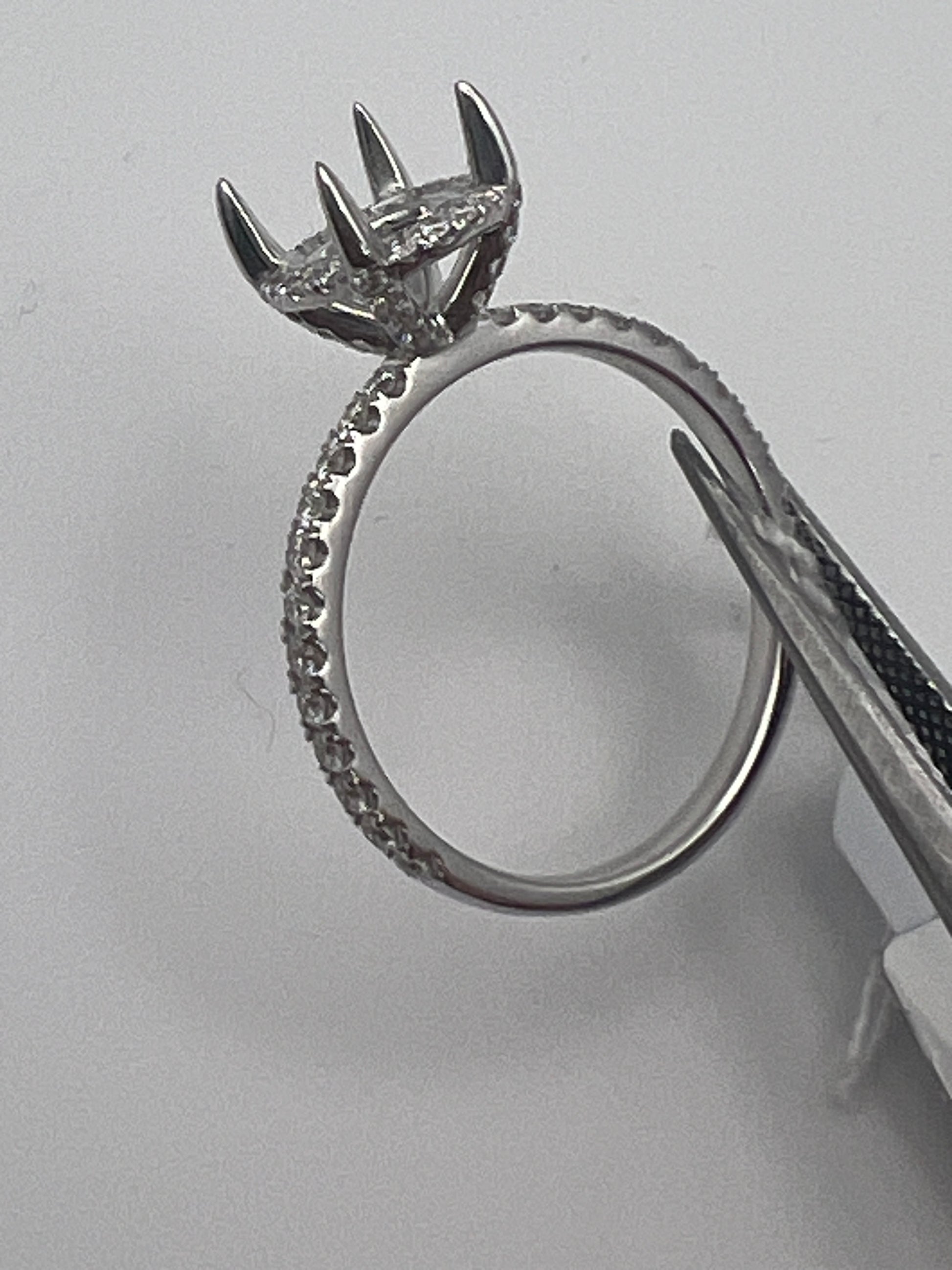 Side view of Engagement ring setting in 18k White Gold with 56 round diamonds with a .45 ctw