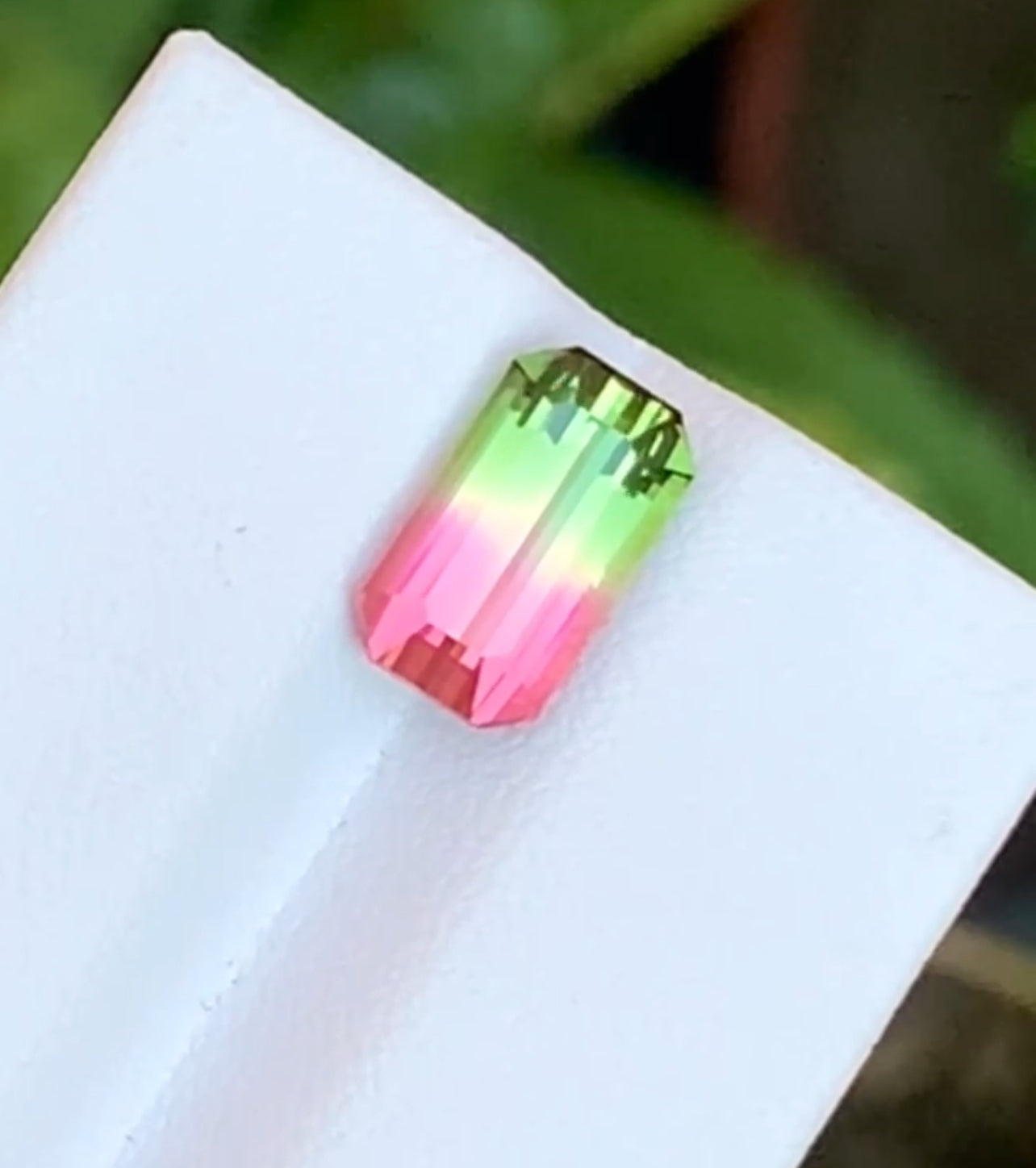 Natural watermelon tourmaline