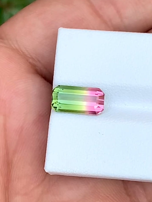 3.15 CTS Watermelon Tourmaline