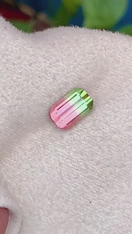 Watermelon Tourmaline